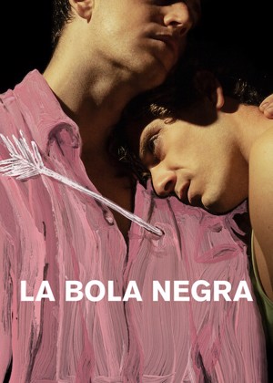 La bola negra
